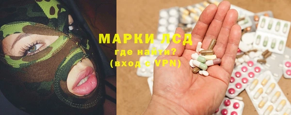 стаф Дмитровск