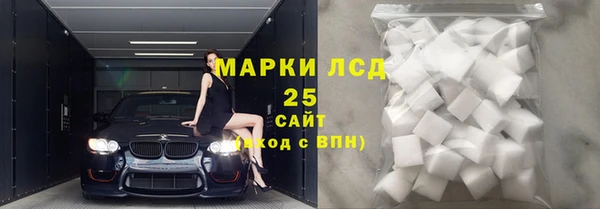 стаф Дмитровск