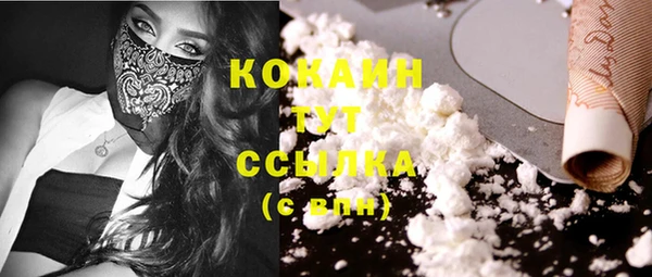 каннабис Дмитров